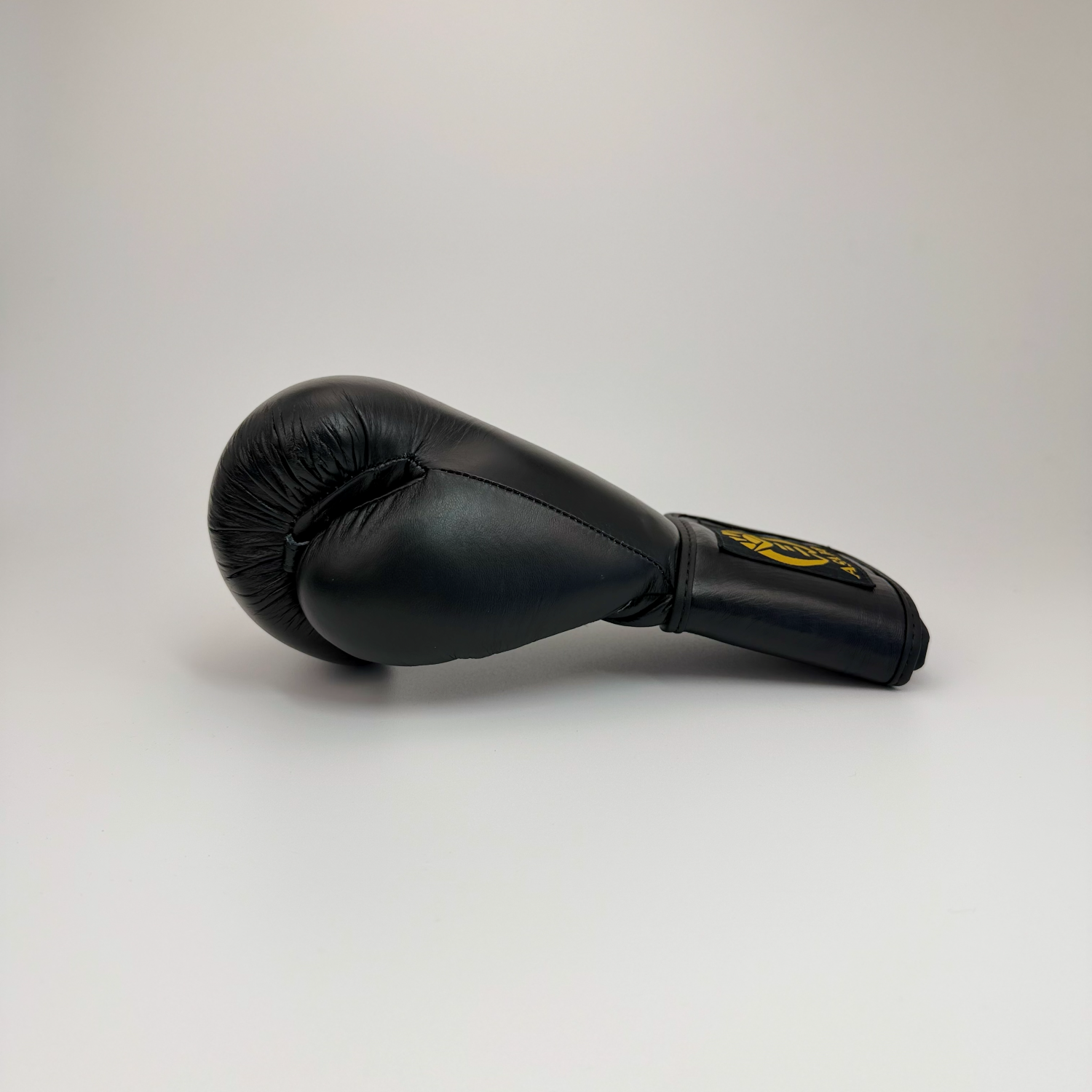 Asahi Leather Boxing Gloves