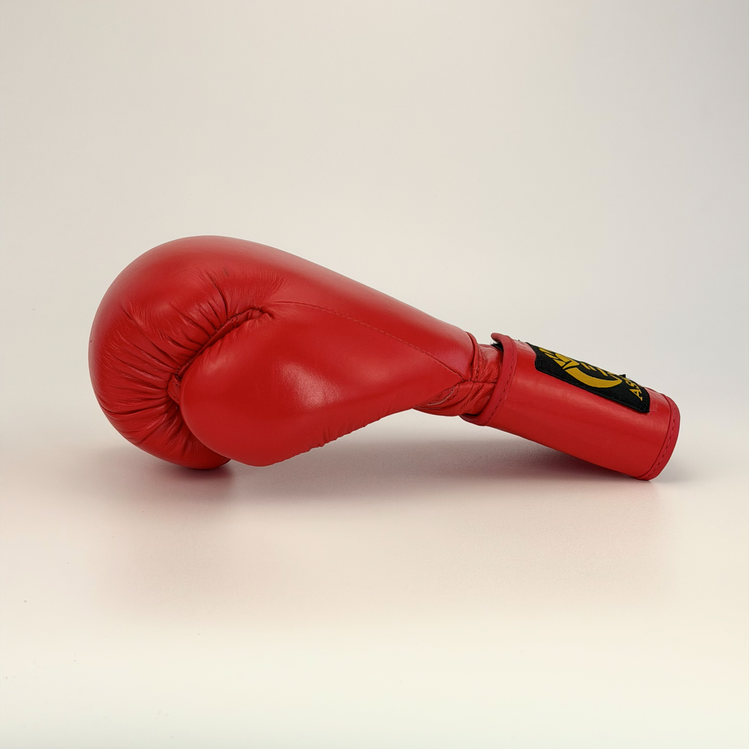 Asahi Leather Boxing Gloves