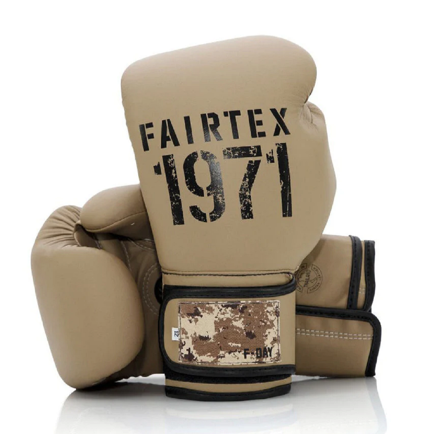 Fairtex BGV25 boxing gloves F-Day2 16 oz