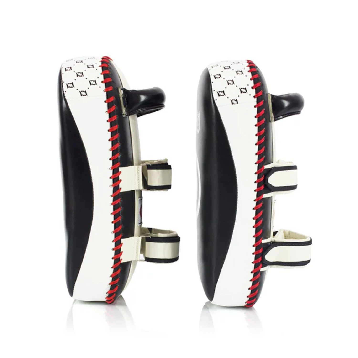 Fairtex KPLC2 Standard Kick Pads