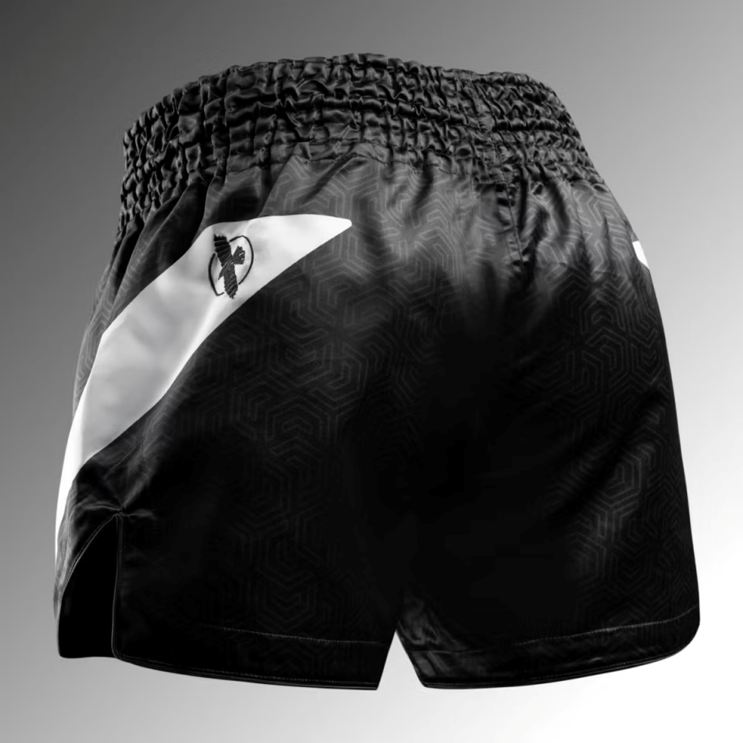 Hayabusa Core Muay Thai Shorts