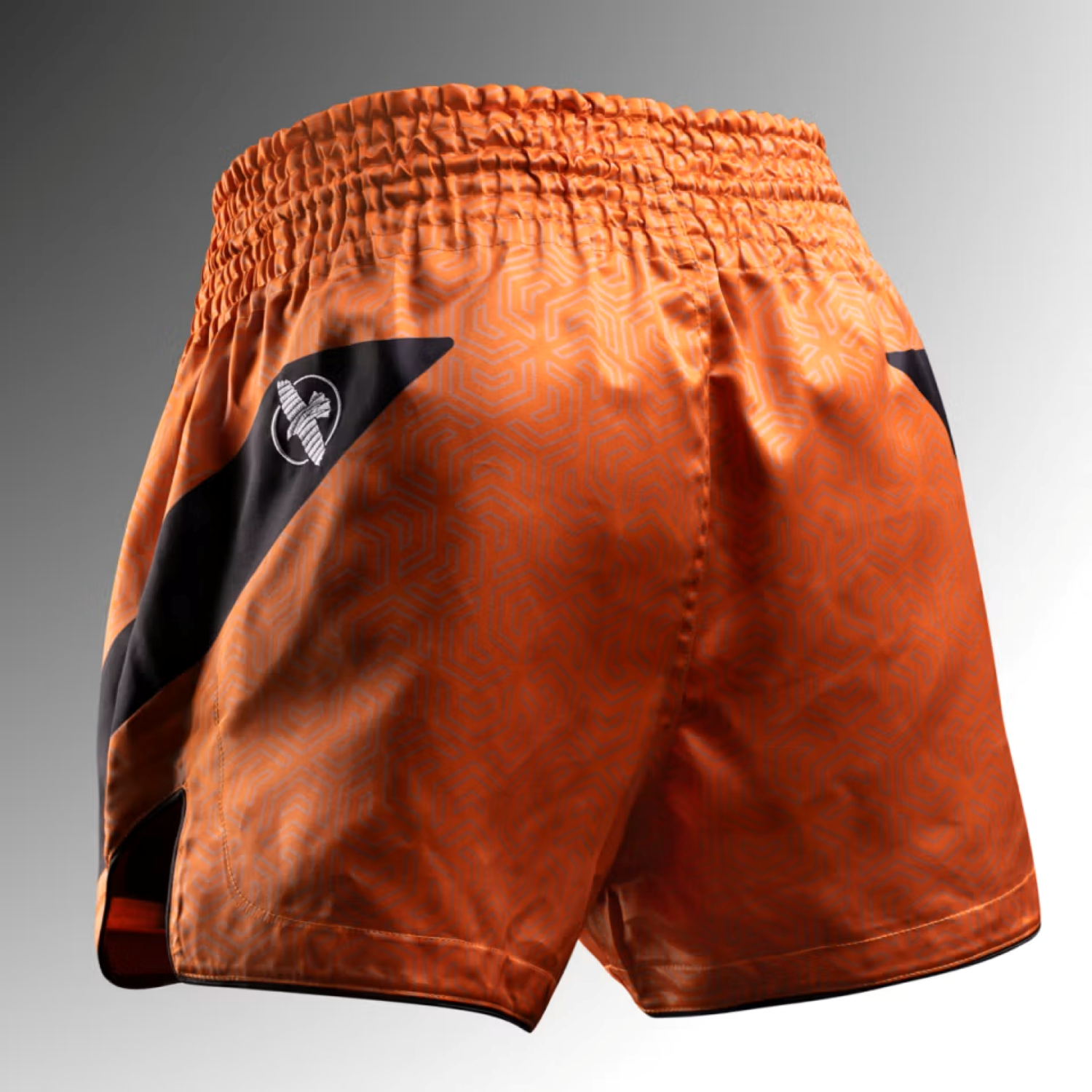 Hayabusa Core Muay Thai Shorts
