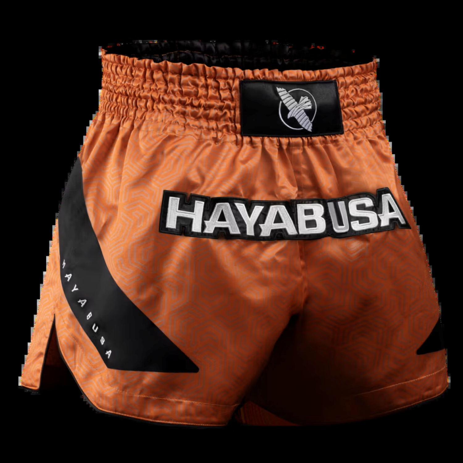 Hayabusa Core Muay Thai Shorts