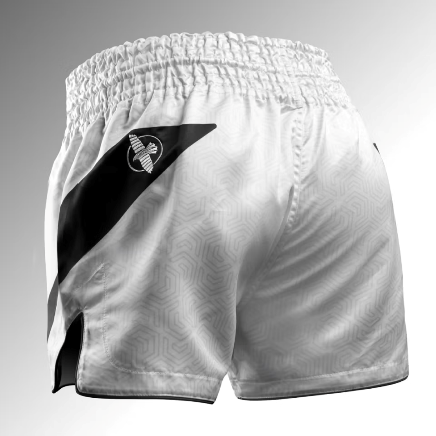 Hayabusa Core Muay Thai Shorts