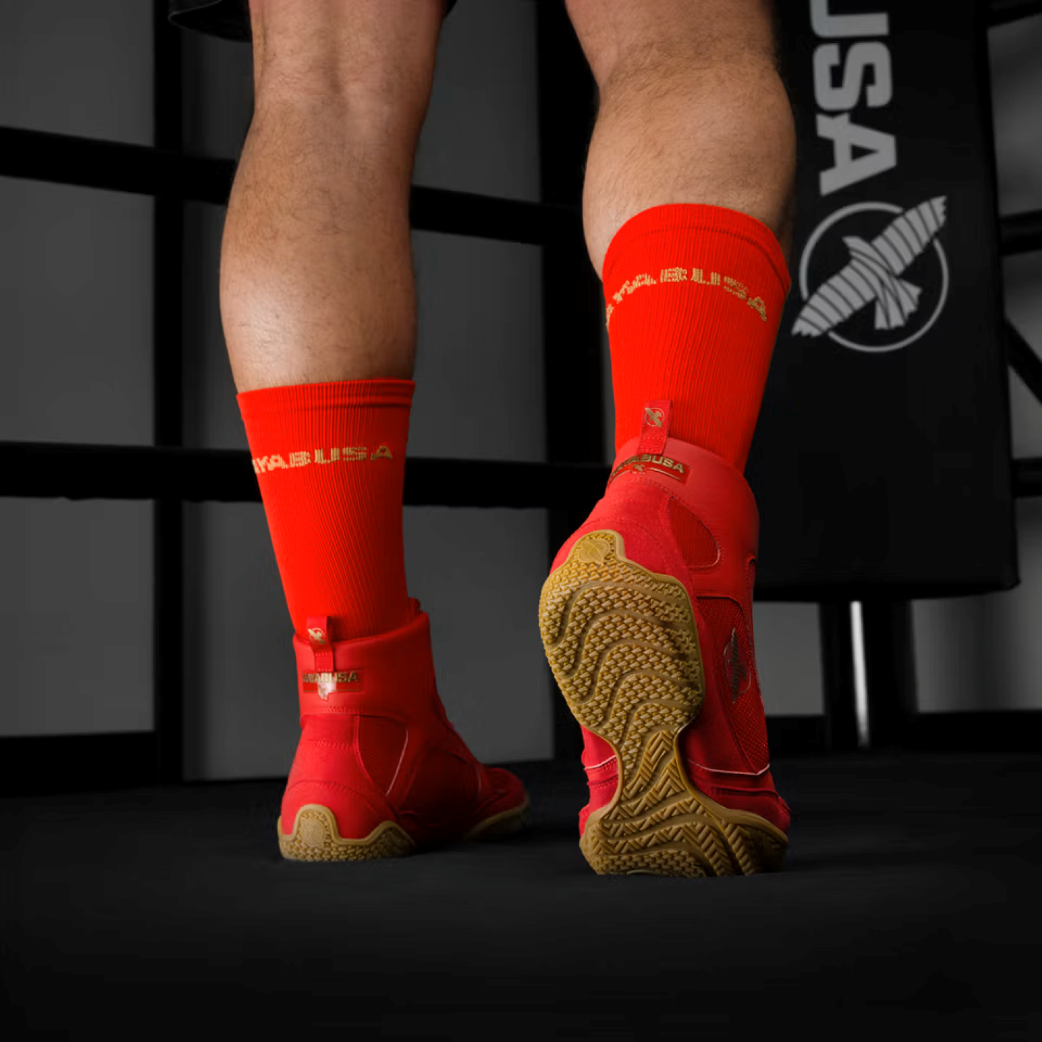 Hayabusa Pro Boxing Shoes