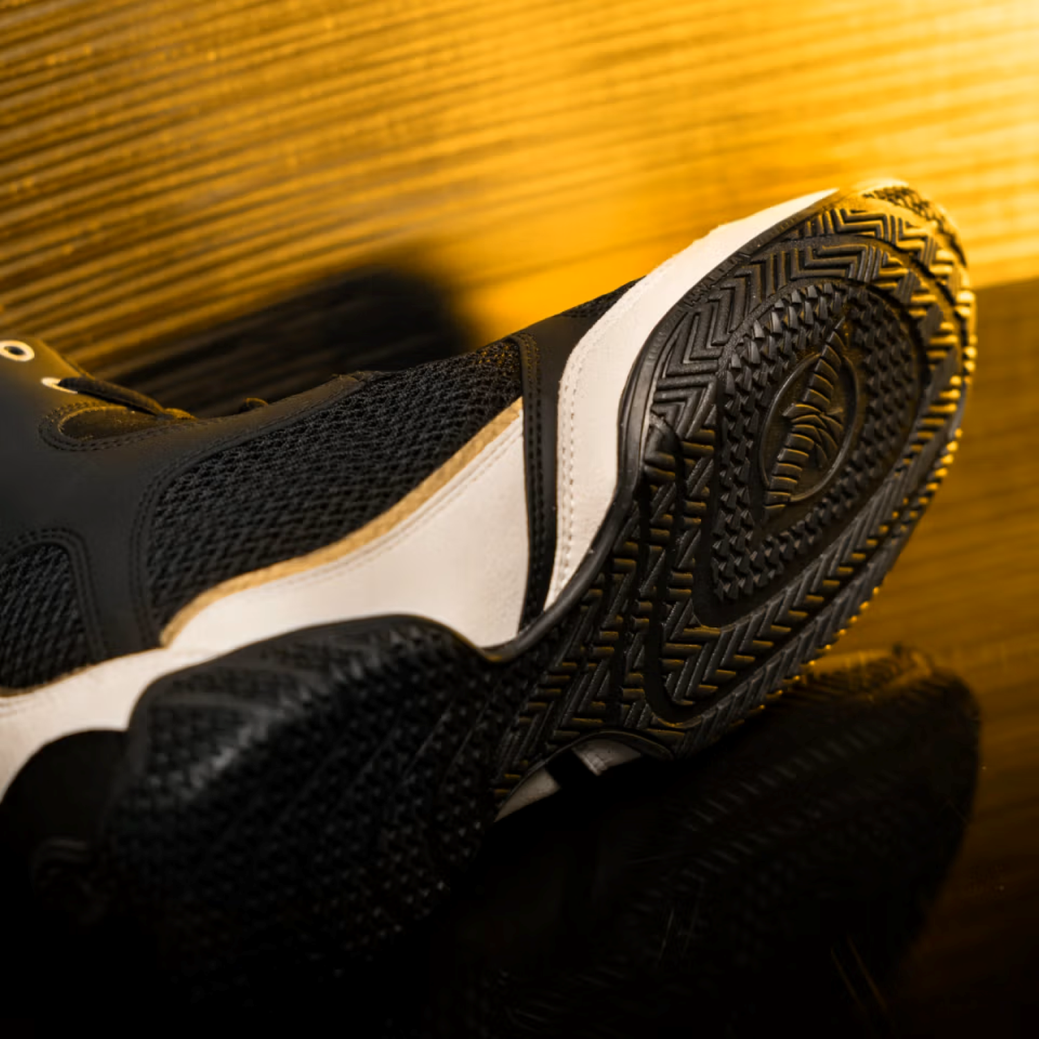 Mayweather Champ Boxing Shoes