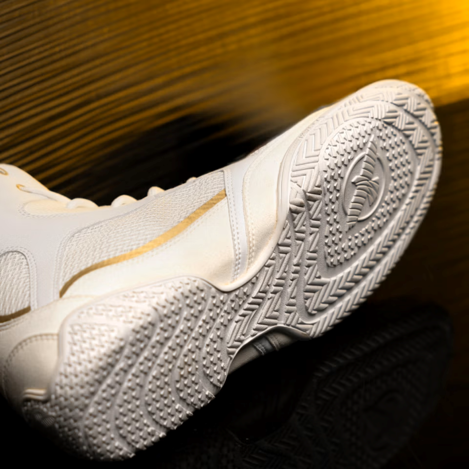 Mayweather Champ Boxing Shoes