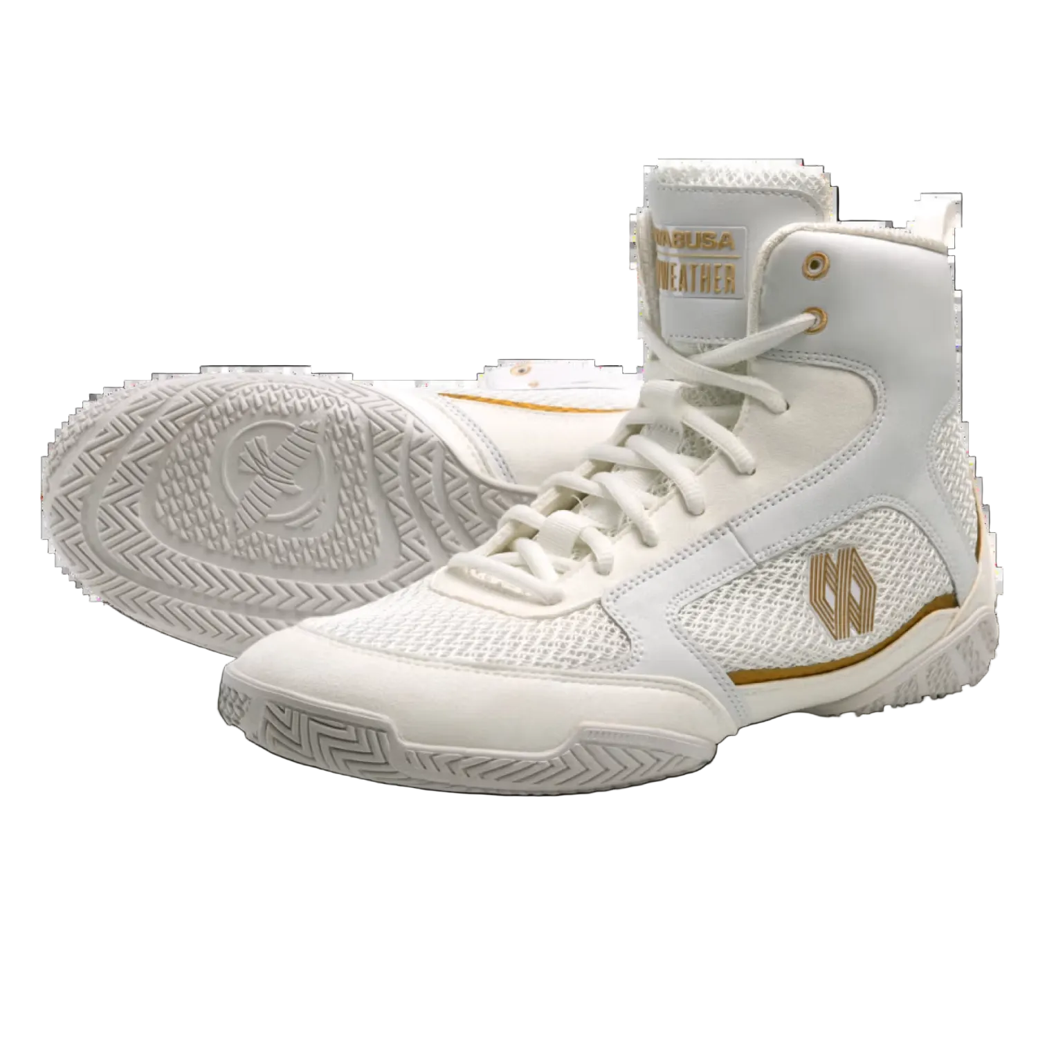 Mayweather Champ Boxing Shoes