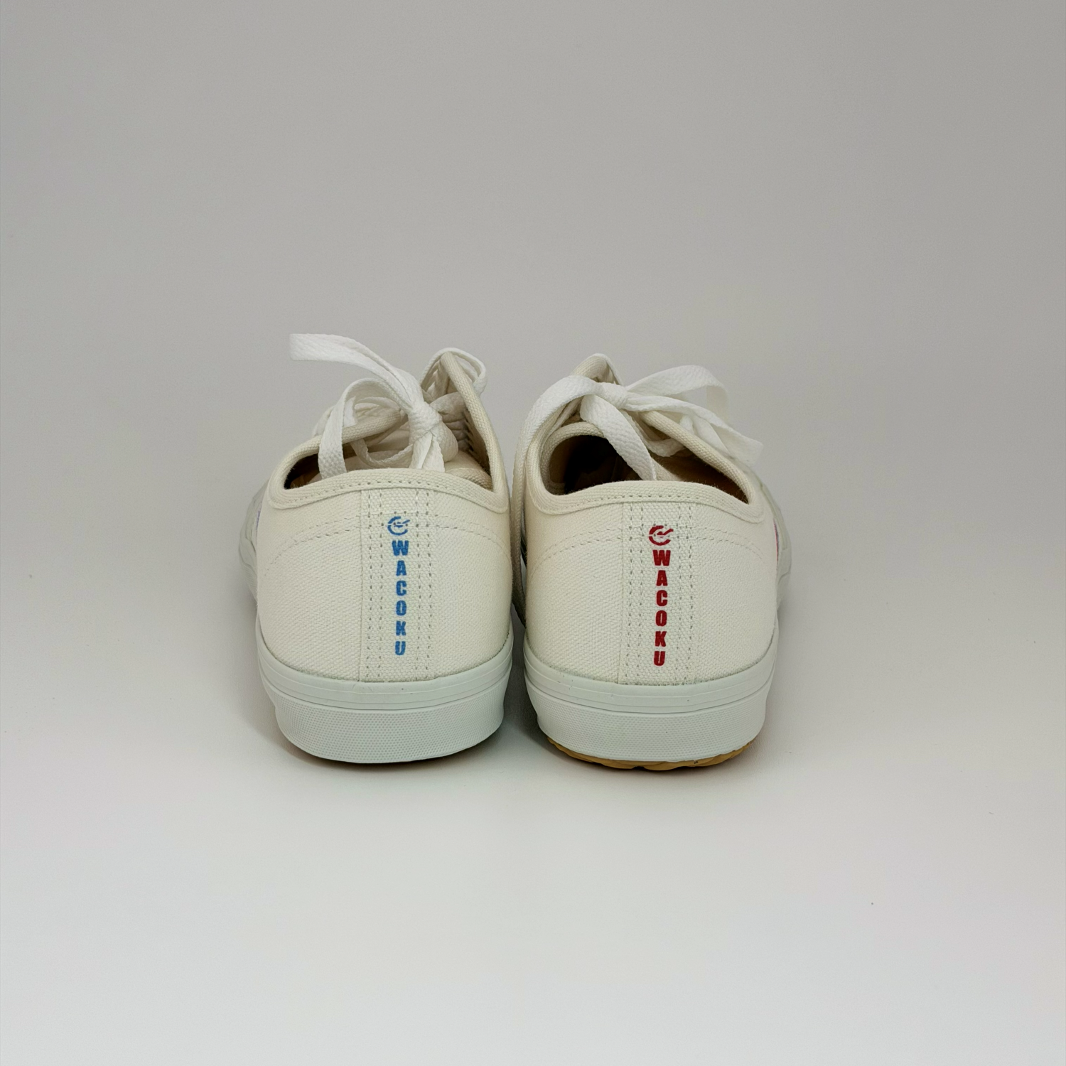 Wushu Shoes