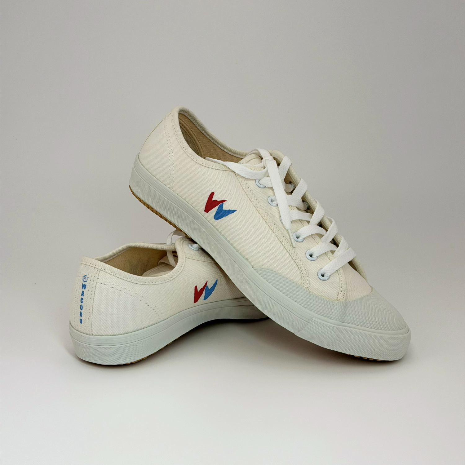 Wushu Shoes
