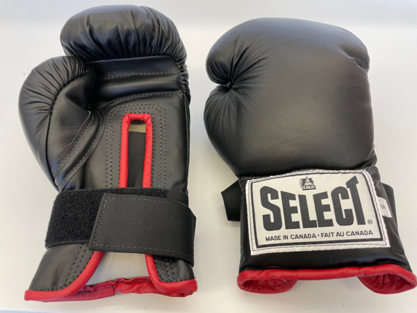 Select Leather Boxing Gloves – Mikado Martial Arts Supplies