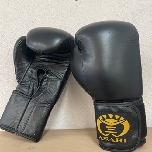 Asahi Boxing Gloves (Leather)